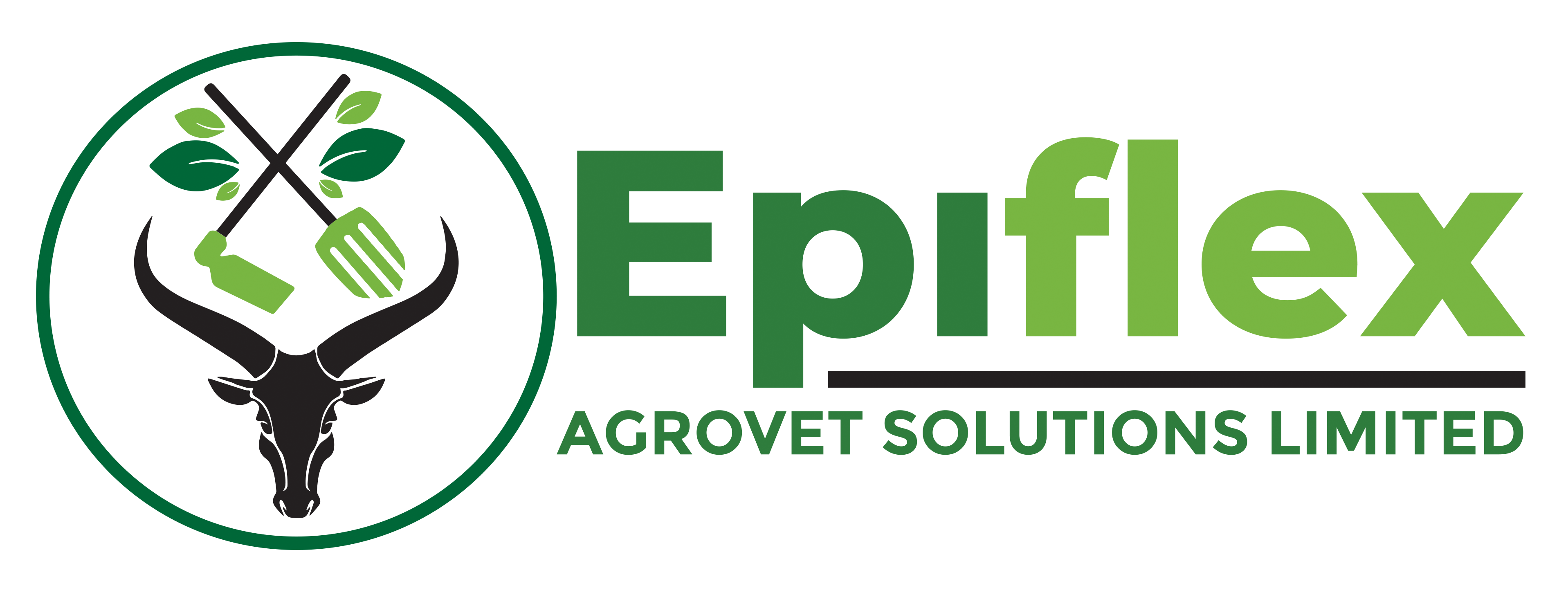 Epixfles logo